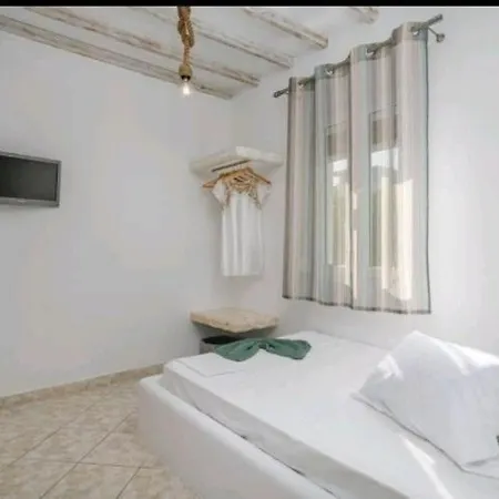 Cozy Andree Пачаина